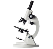 microscopio