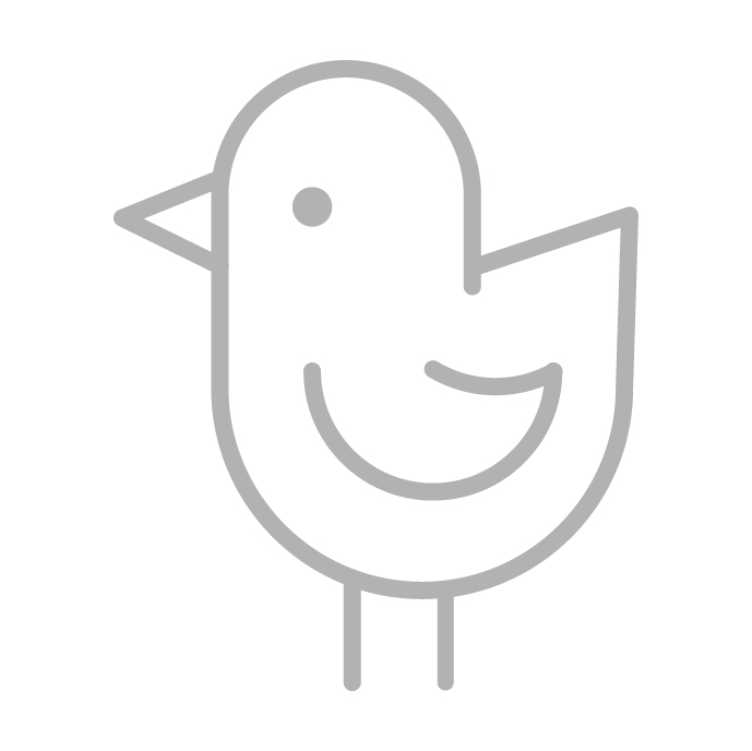 icona pulcino