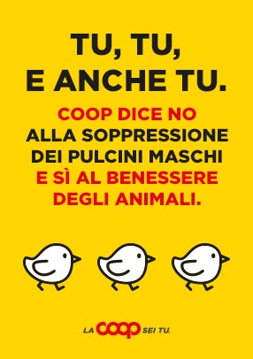 coop dice no alla soppressione dei pulcini maschi e sì al benessere degli animali
