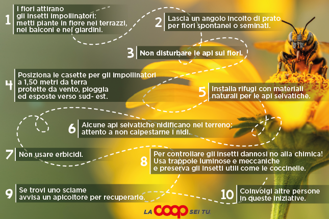10 consigli: I flori attirano gll Insetti Impollinatori: metti plante in flore nel terrazzi, nel balconi e nel giardini. Lascia un angolo Incolto di prato, per flori spontanel o seminati. 3 Non disturbare le apl sul flori. Posiziona le casette per gli Impollinatori a 1,50 metri da terra protette da vento, ploggla ed esposte verso sud-est. Installa rifugi con materiall naturall per le api selvatiche. 7 Non usare erbicidi. Alcune api selvatiche nidificano nel terreno: attento a non calpestarne I nidi. Per c