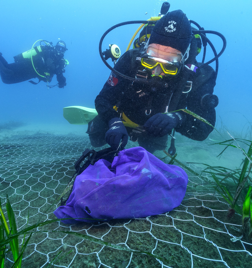 immagine storie list