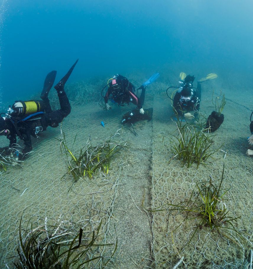 immagine storie list