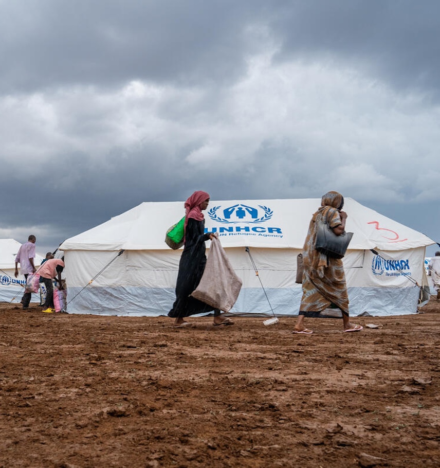 immagine storie list