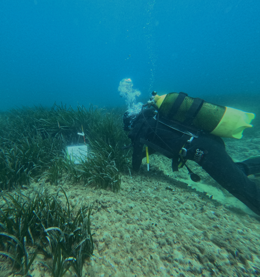 immagine storie list